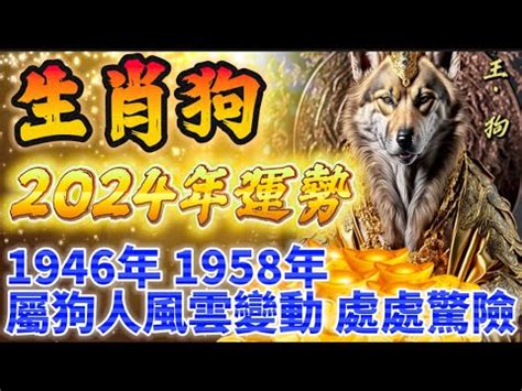 1958年屬什麼|【1958年 生肖】【1958年生肖揭曉】屬什麼？五行命運大公開！